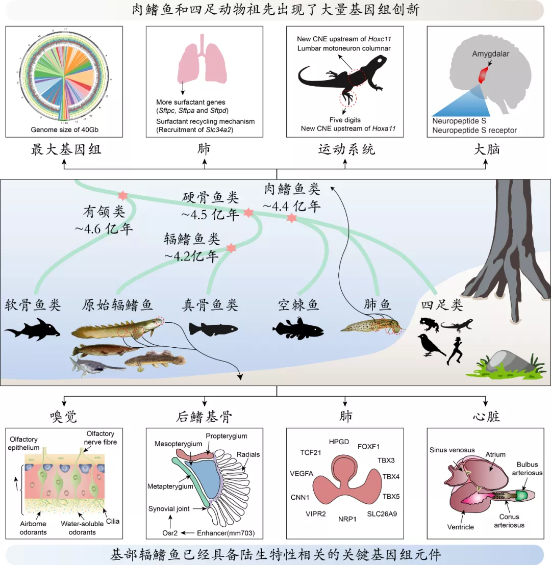 图片19.png