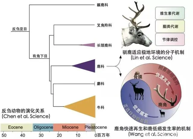 图片17.png
