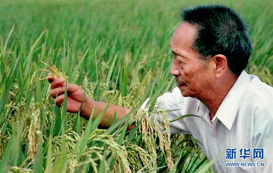 “心有大我,至诚报国”——知识分子的时代答卷 “心有大我,至诚报国”——知识分子的时代答卷